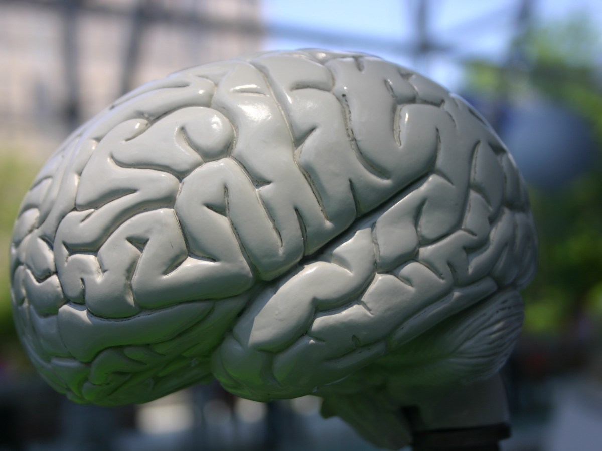 Iain McGilchrist, matter &&nbsp;consciousness.